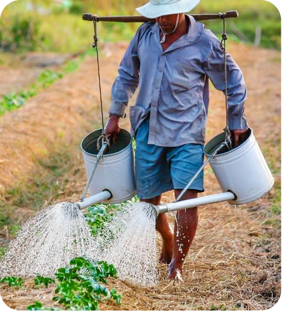Agrarian Law (CARP/land conversion)
